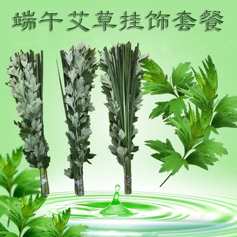 2026年端午节门挂艾草怎么选？为什么新鲜整棵艾叶+梅州产菖蒲成新标配？