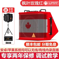 [SF Express] Magic 3plus x (Maple Leaf Red)+Полный набор подарков