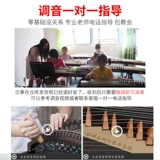 华飞 Гужэн -начинающий ученый Ученый Ученый Сяозхенг 21 Странный детский тест для взрослых музыкальный инструмент Гучжэн