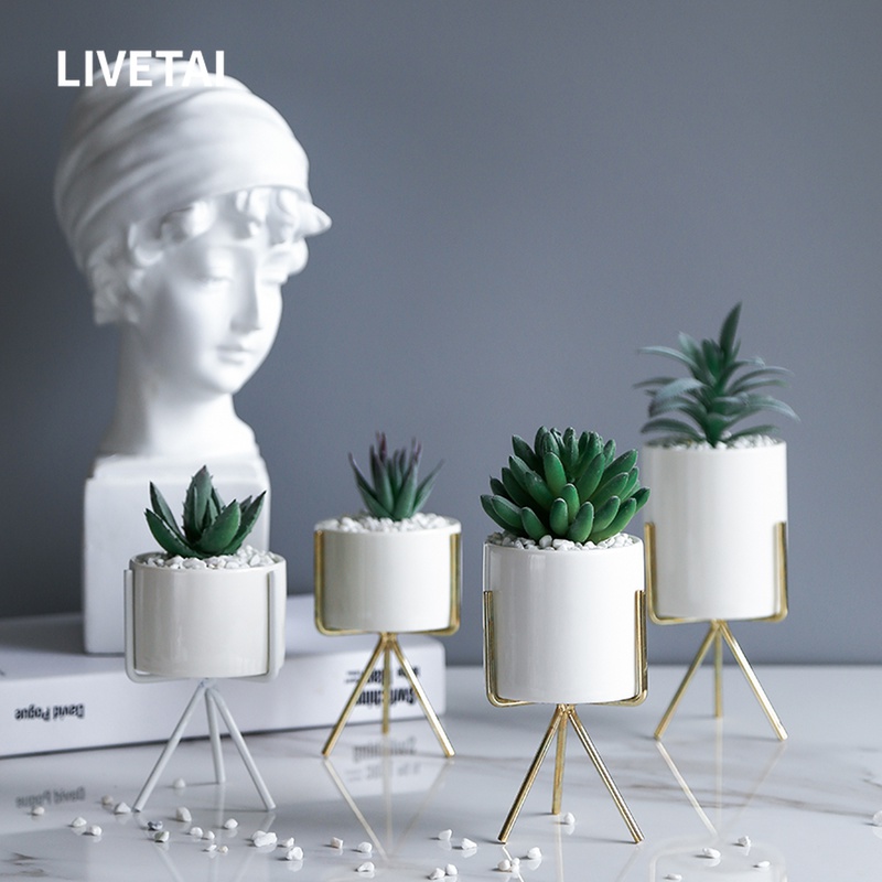 LIVETAI Nordic modern simple design ceramic flowerpot simulation fleshy flowerpot potted combination plant ornaments