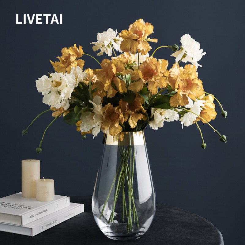 LIVETAI Nordic ins magic pearl transparent glass vase hydroponic living room dry flower decoration flower arrangement