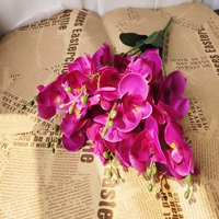 7 вилка одиночный фалаенопсис