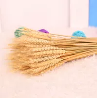 100 основных цветов