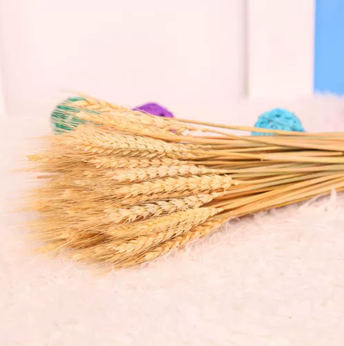 Weatan Dry Flower Bouquet Home Furnish