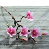 Симуляция Magnolia foody pu гостиная, декоративный фальшивый цветок сушеный цвет