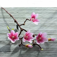 Одиночный магнолия розовый