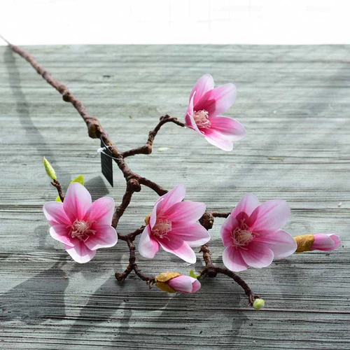 Симуляция Magnolia foody pu гостиная, декоративный фальшивый цветок сушеный цвет
