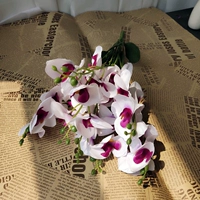 7 Вилка одиночный фалаенопсис