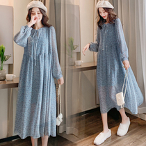 Pregnant womens spring dress long knee dress womens autumn new foreign style tide mother long sleeve floral long skirt spring