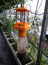 God-catching solar insect-killing lamp tea wind suction type orchard fish pond insect-killing moth light rice field mosquito control lamp farm