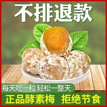 Enzyme plum enhanced version of casual fruit filial piety Mei Qing net fruit green plum four season fruit enzyme plum