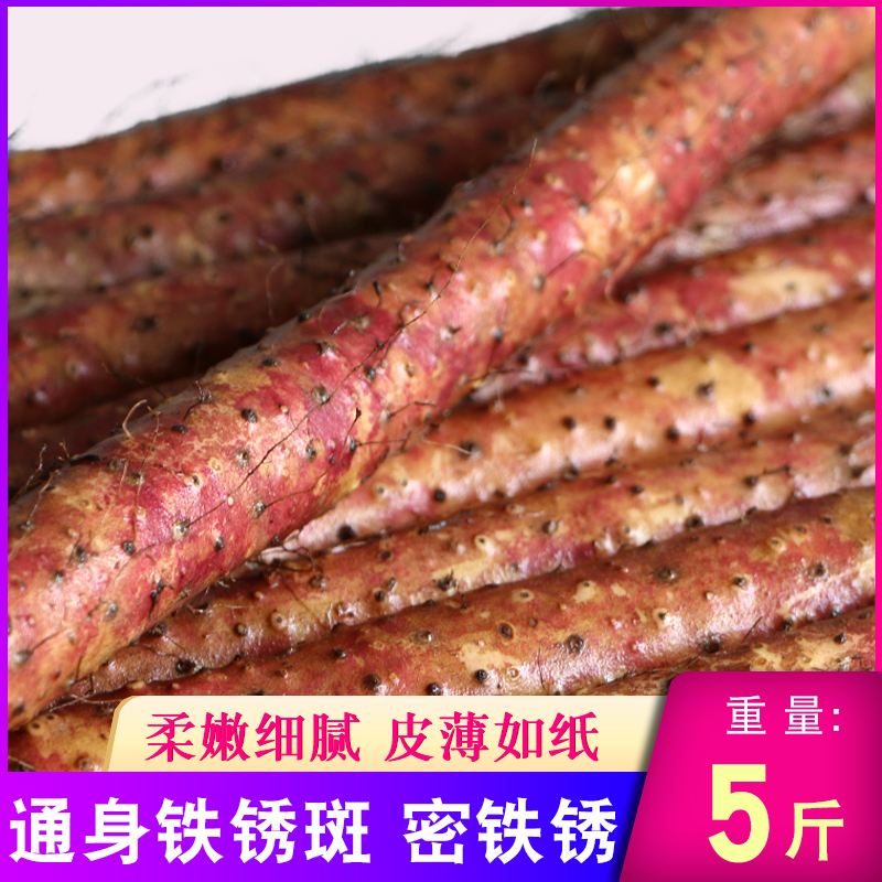 Wen county red black-skinned chicken soil iron bar yam 5kg loaded with Henan Jiaozuo Huaishan fresh iron bar yam specialty