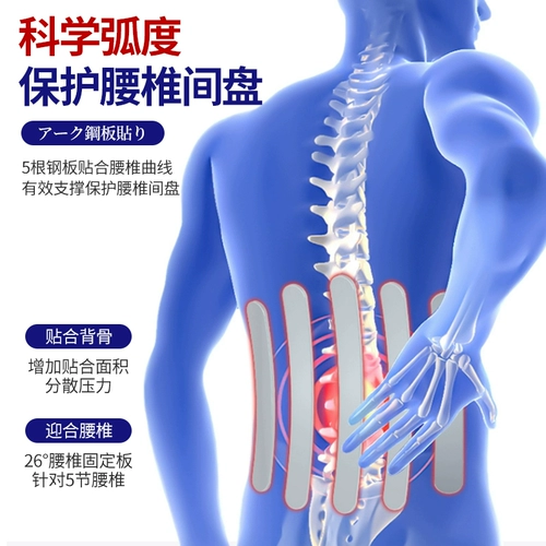 Медицинский дышащий поясничный поясной поясной поясничный поясничный диск Грыжа Мужчины и Женский Специальный заварной завар