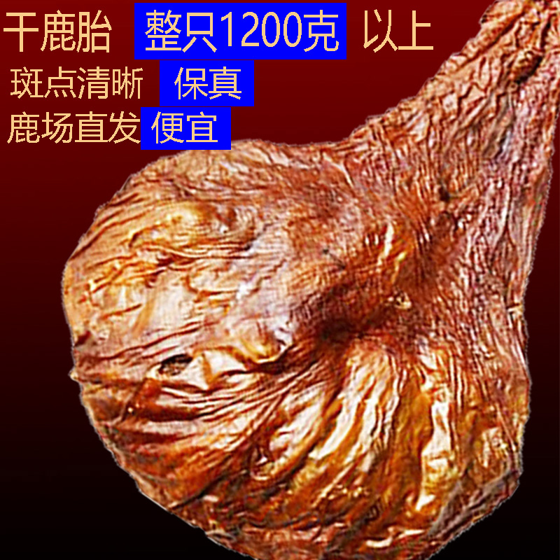 Jilin Mayflower Deer Tire Coat The Whole Placenta Dry Deer Tire Whole Only Powder Women Conditioning Polycystic Menstrual Preparation
