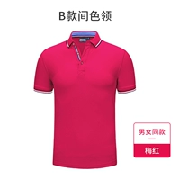 Цвет ошейника типа Б - сливово-красный.