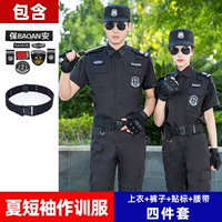 Летний топ + брюки + логотип + ремень