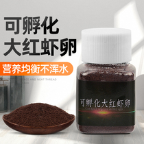 Hatchable rich shrimp red egg larvae frozen adult Frozen live seedlings guppy fish feed fish feed