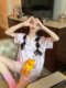 Xinbangbang Homedress sweet cartoon cat short-sleeved ice silk pajamas set for women summer ສະດວກສະບາຍແລະເຄື່ອງນຸ່ງຫົ່ມເຮືອນທີ່ເປັນມິດກັບຜິວຫນັງ