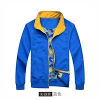 Цветовая цепь/синий