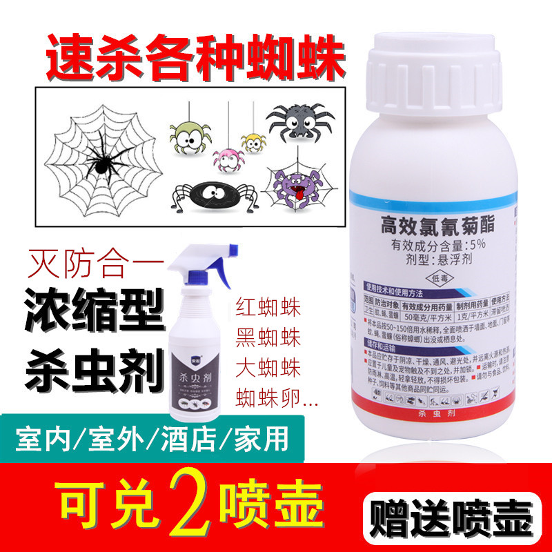 Special Spider insecticide spray insecticide spray insecticide special hotel household insect repellent cockroach leaping medicine spray