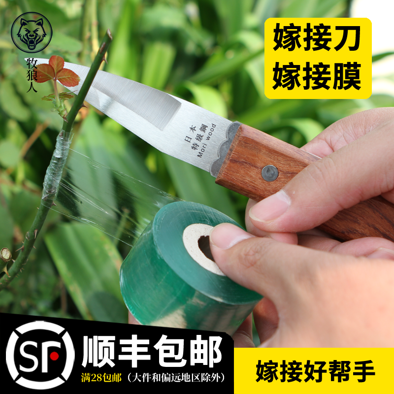 Graft Knife Graft Membrane Fruit Tree Wound Membrane Graft Special Membrane Self-Adhesive Bud Pick Up Knife Transparent Pull Extension Membrane Graft Helper