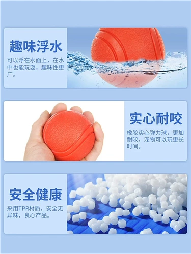 Игрушка для собак, укусить мяч, тренировки собак, специальные артефакты собак, молярные края, плюшевый щенок