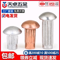 GB827 stainless steel 304 signage rivet aluminium rollaway nameplate copper trademark solid rivet M2M2 5M3M4M5mm