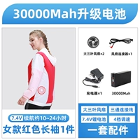 Аксессуары, красный лонгслив, 4v, полный комплект