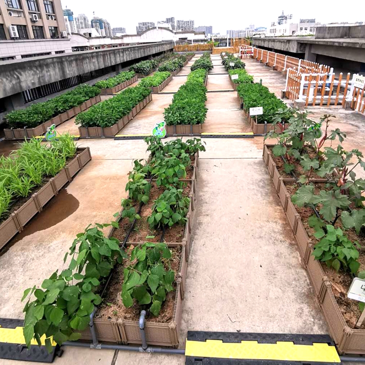 Family vegetable planting box balcony garden large rectangular pool flower tank flower box planting vegetable vegetable