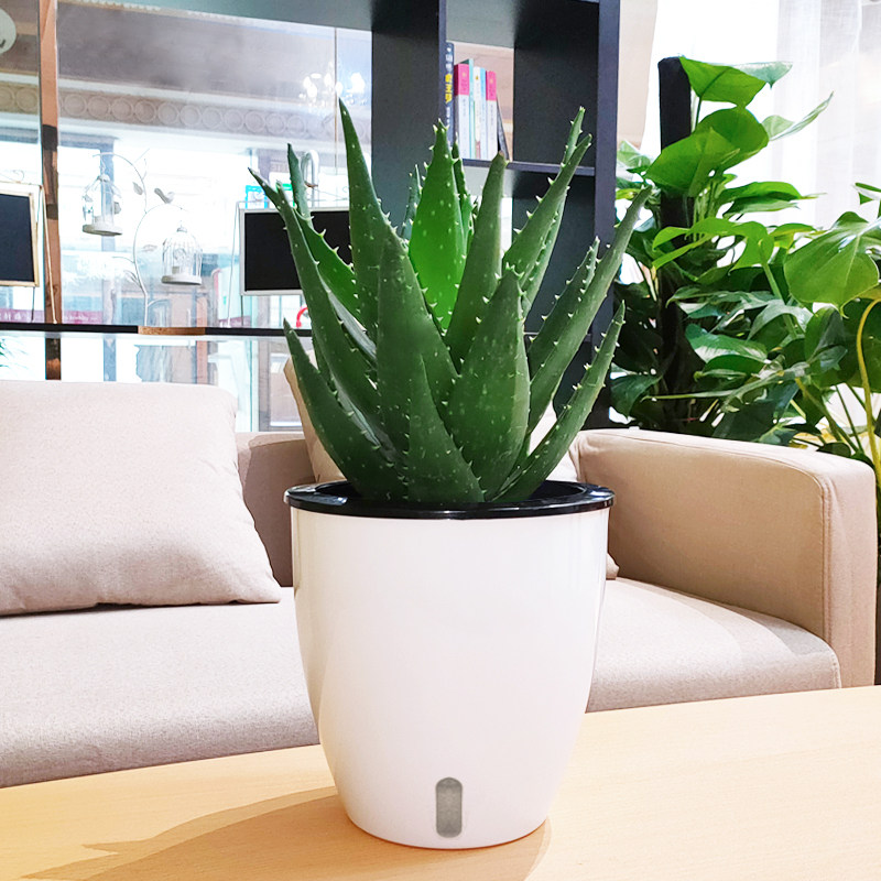 Lazy flowerpot creative round gold Geluo hydroponic orchid plastic resin self-absorbent flowerpot can store water personality