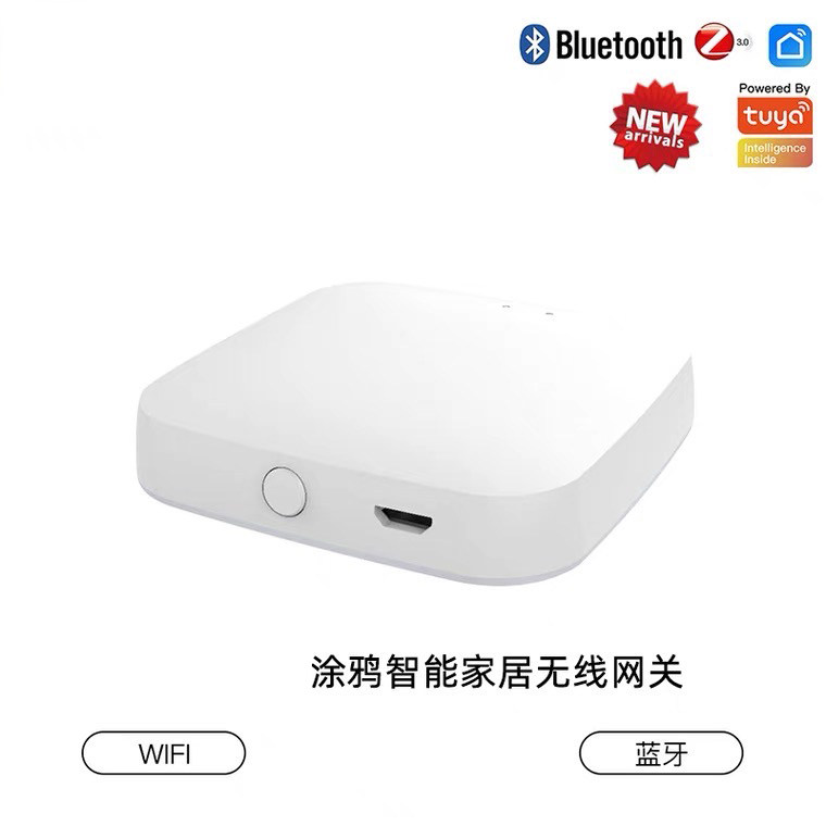 Tongtong Lock Ttlock Tuya Smart Gateway Device Mobile Remote Unlocking Device Good House Manager Bluetooth App