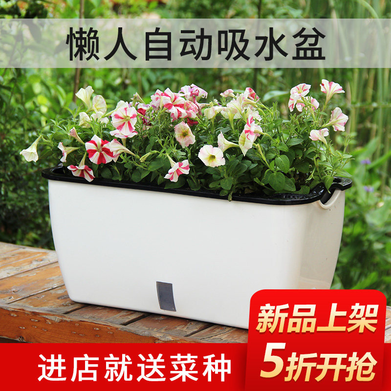 Junde Vegetable Theorizer Family Balcony Flowerpots Planted vegetable planting box Vegetable Basin Self-Absorbent