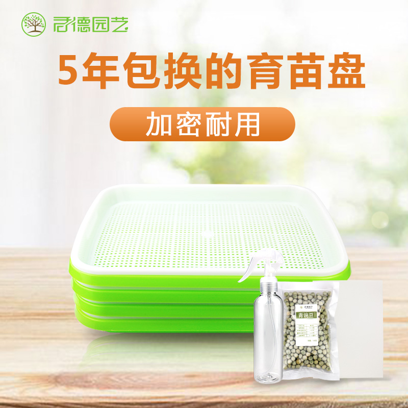 Tyrant Bean Sprout Nursery nursery Cultivation Water Bacon paper Seed Vegetable Planting Pan vegetables Sprouted Pot Sprouts