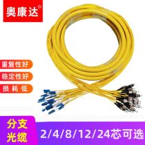 Optical fiber cable 4 8 12 core bundled pigtail SC head square head to LC-FC-ST telecommunications grade multi-core indoor sheath line branch cable customized 5G computer room wiring single-mode optical cable fiber jumper tail cable