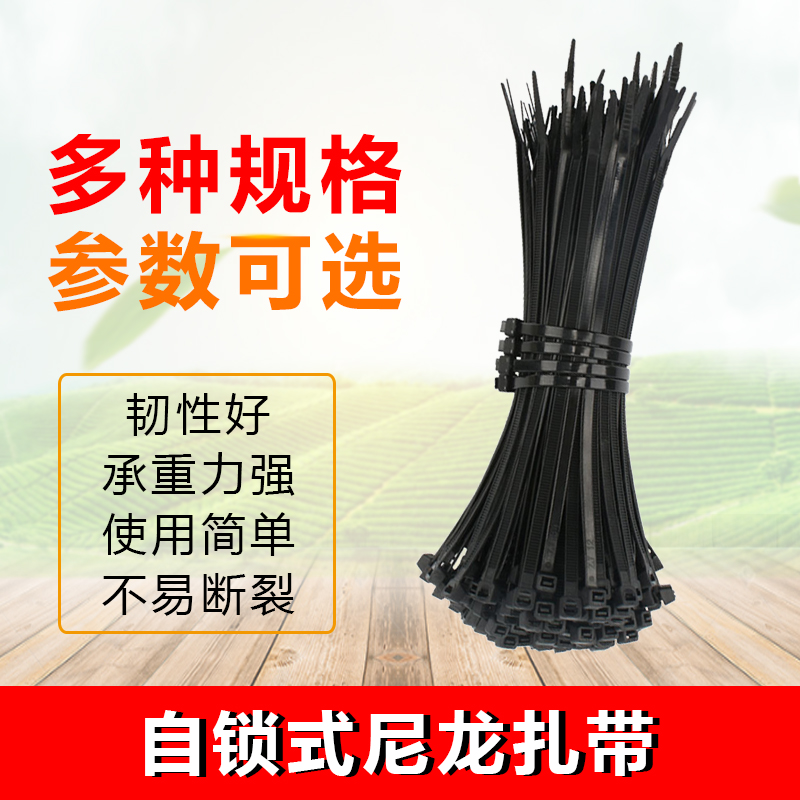 Self-Locking Nylon Tie 3 * 100-8 * 500 Plastic Fixed Tie Wire Live Tie Wire Bundle Black White