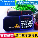 GE GE изучает попугайку, учебную машину, брат, машина для записи машины для записи, машина для обучения птиц