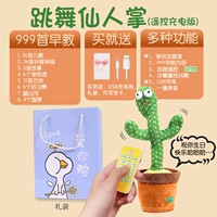 [Обновление с дистанционно-ритуальным мешком] Fairy Palm (999 Раннее образование+учебное разговор)