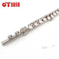 Golden tone 16 holes Adult beginner versatile flute instrument C tune JYFL E150 