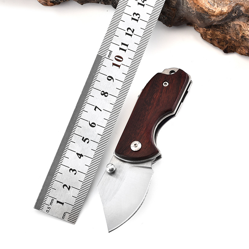 Water Fruit Knife Carry-on Mini Knife Outdoor Wilderness Begging For Pocket Small Knife Key Button Anti-Height Hardness Folding Knife