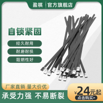 304 spray stainless steel cable ties Black 4 6MM * 300MM metal tie Marine tie outdoor cable tie