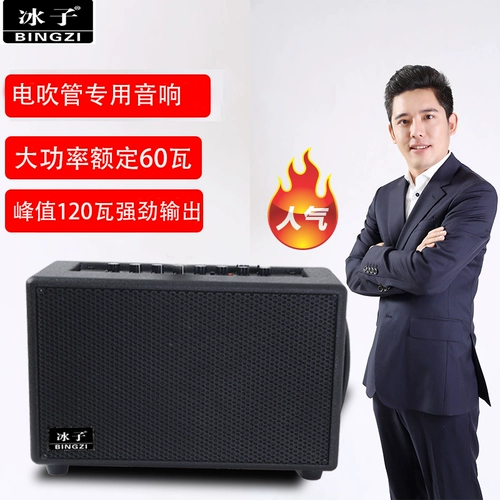 Справочный динамик для волос BZ-T1 IELTS Специальный динамик Яйя Ролан