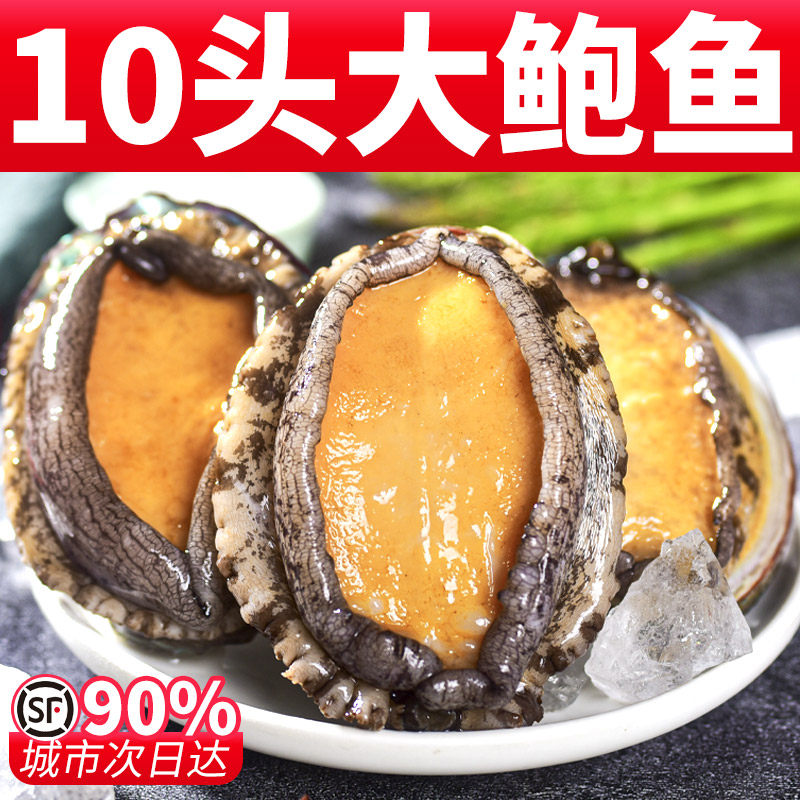 Fresh super large abalone sea fish fresh live fresh fresh fresh fresh fresh fresh frozen seafood aquatic 2 kg ready - to - eat small abalone