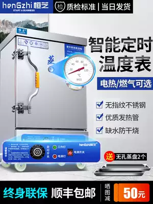 Hengzhi steaming cabinet commercial gas canteen steamer automatic rice steamer 220V electric steamer small steamer