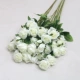 【6 луча Nanyang Rose White】
