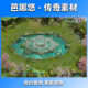 图1