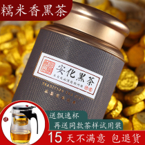  Black tea Hunan Anhua black tea premium aged gold coin Tianjian tea Anhua black tea leaves glutinous rice authentic