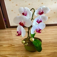 17. Губная помада