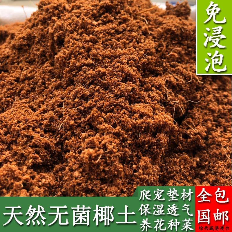 Tortoise Winter Equipment Tortoise Hibernation Sand Coconut Brick Coconut Soil Tortoise Hibernation Tortoise Sand Special Hibernation