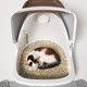 Cat litter box extra large large cat ears enclosed fully cat toilet deodorizing Maine Coon puppet extra large 20L cat ອຸປະກອນການ