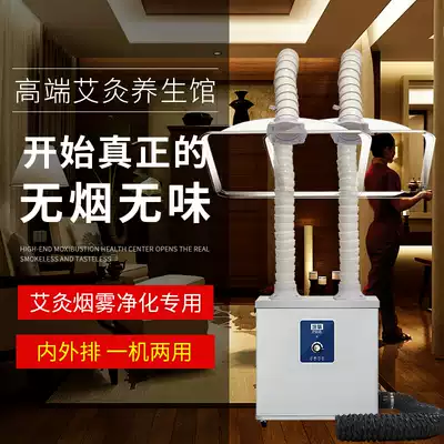 Moxibustion smoke purifier Indoor and outdoor smoke extractor Moxibustion mobile household smoking machine Health hall smoke-free instrument